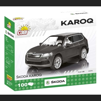 Skoda Karoq  100  Kl.